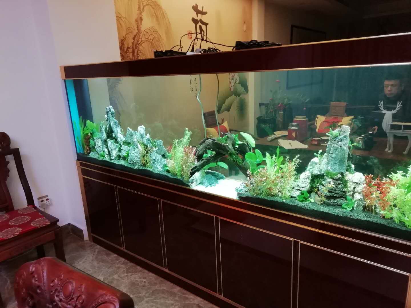 造景鱼缸