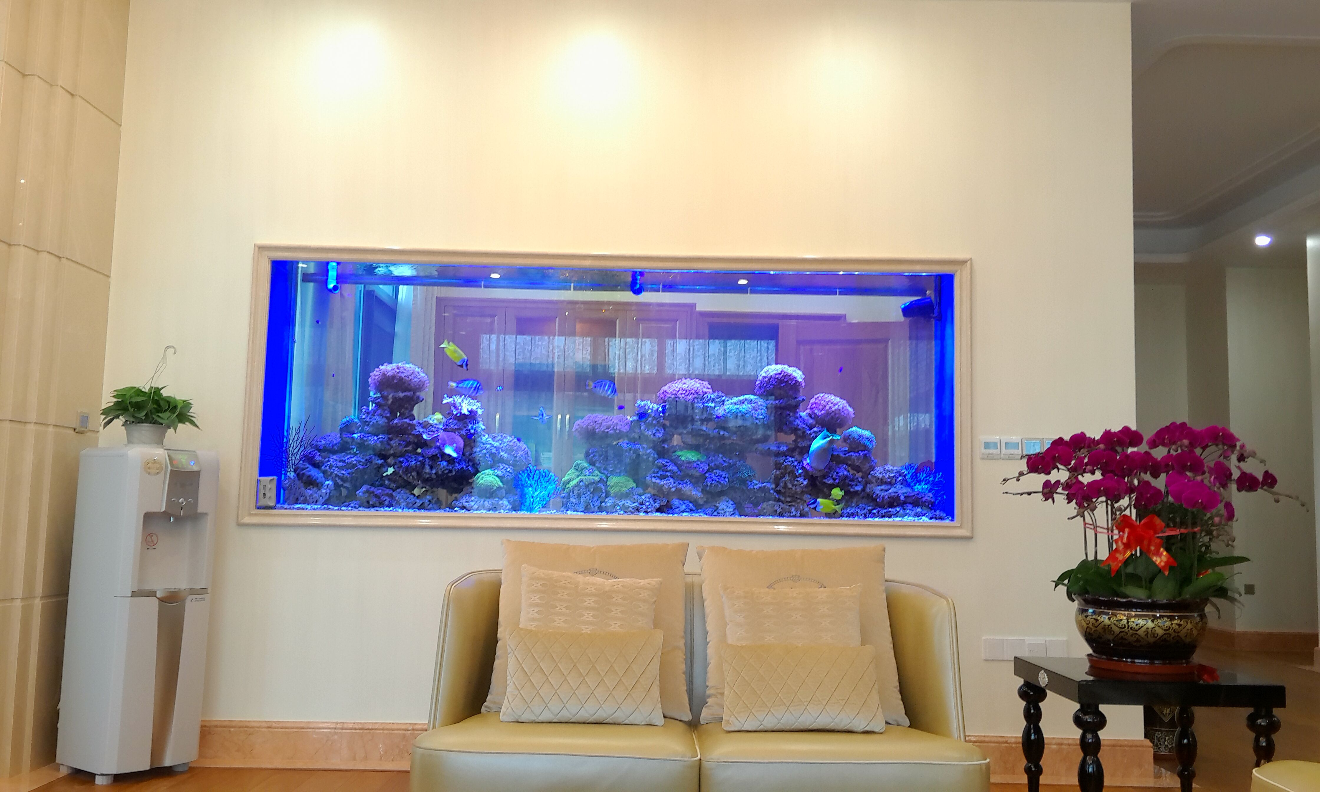 嵌入式海水缸